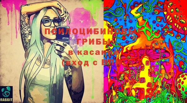 твердый Магас