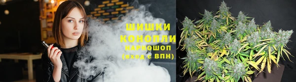 твердый Магас