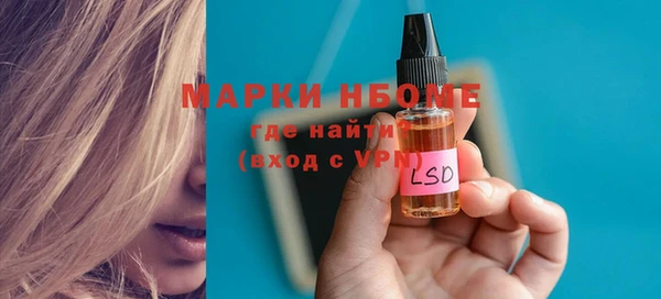 прущие грибы Чита