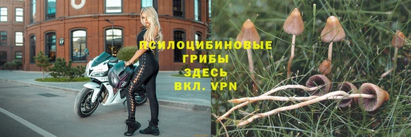 хмурый Магадан