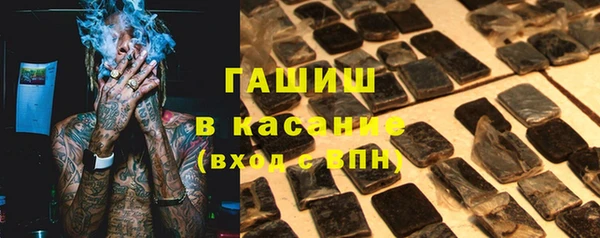 прущие грибы Чита